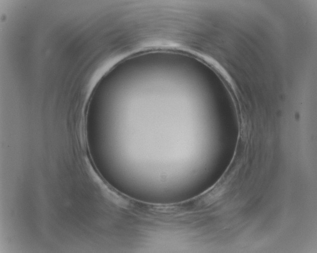 X0000074331295200609082023