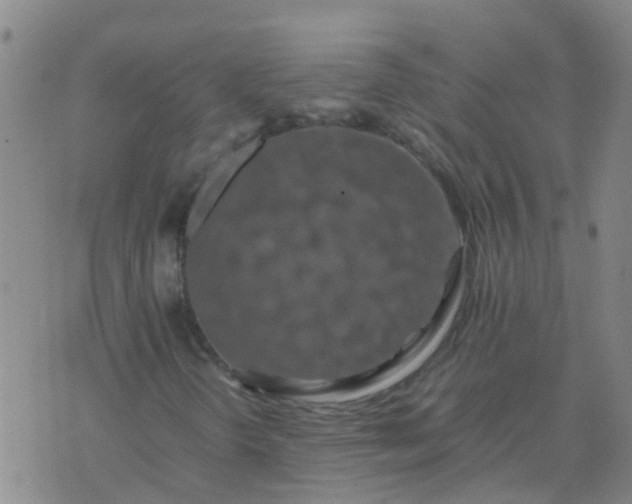 X0000074331298200609082022