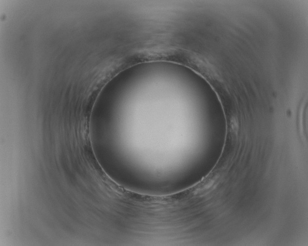 X0000074331300200609082022