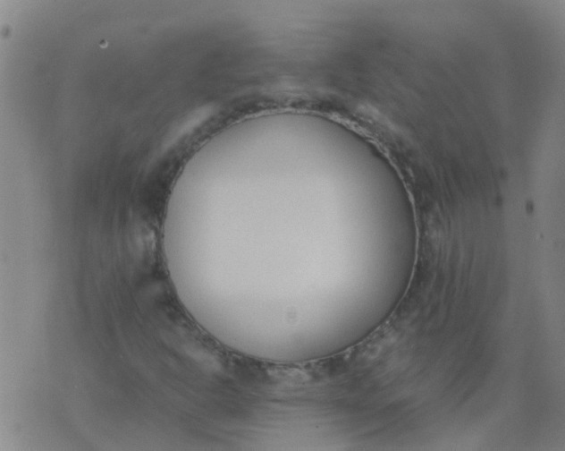 X0000074331302200609082022