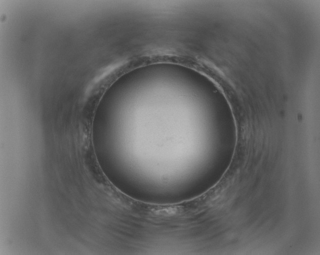 X0000074331303200609082022