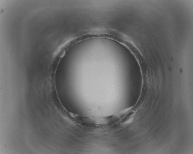 X0000074331304200609082022