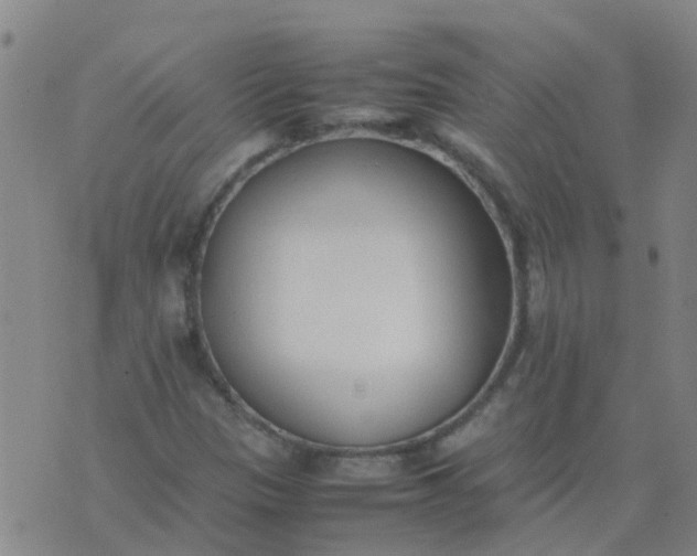 X0000074331305200609082022