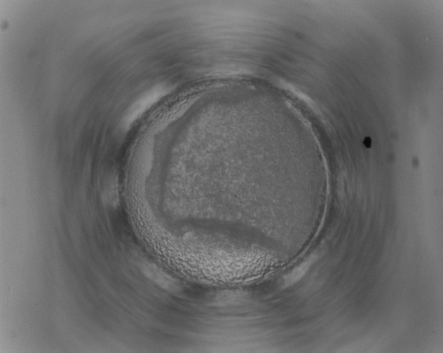 X0000074331306200609082022