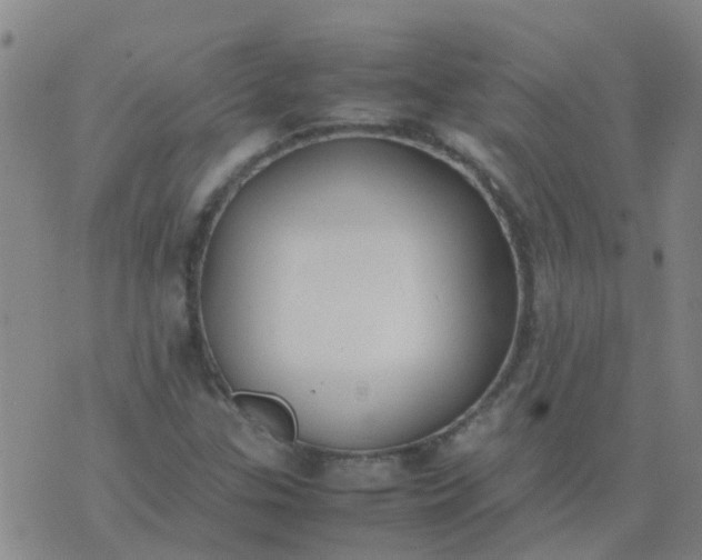 X0000074331307200609082022