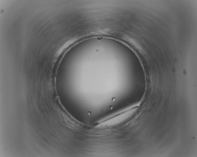 X0000074331308200609082022