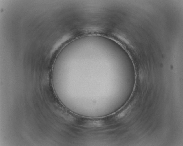 X0000074331309200609082022