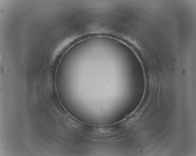 X0000074331311200609082022