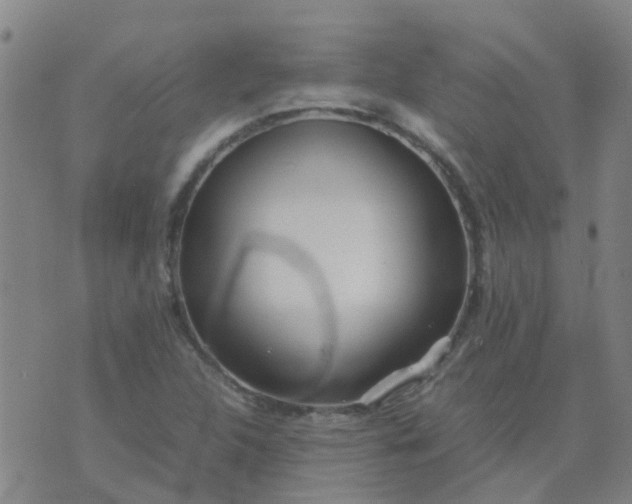 X0000074331312200609082022