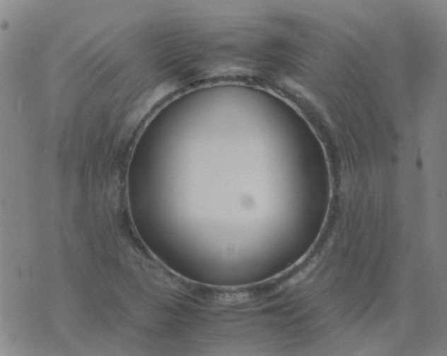 X0000074331313200609082022