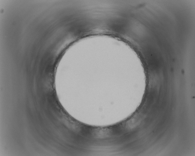 X0000074331314200609082022