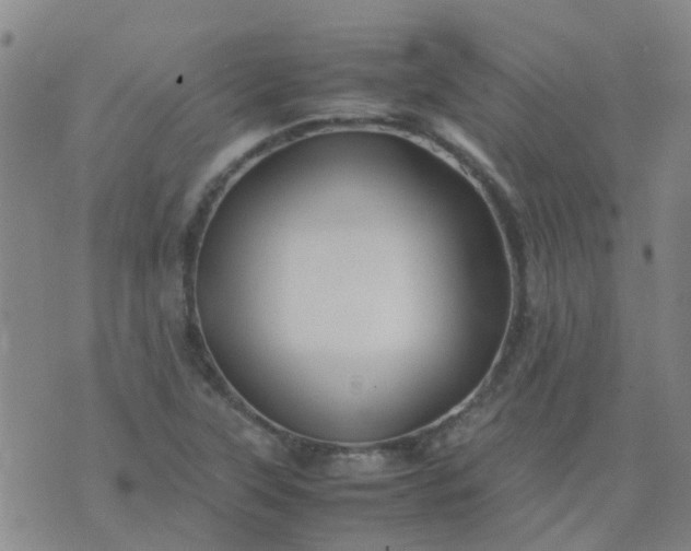 X0000074331315200609082022