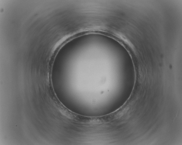 X0000074331316200609082022