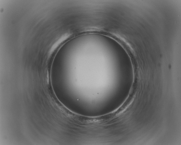 X0000074331317200609082022