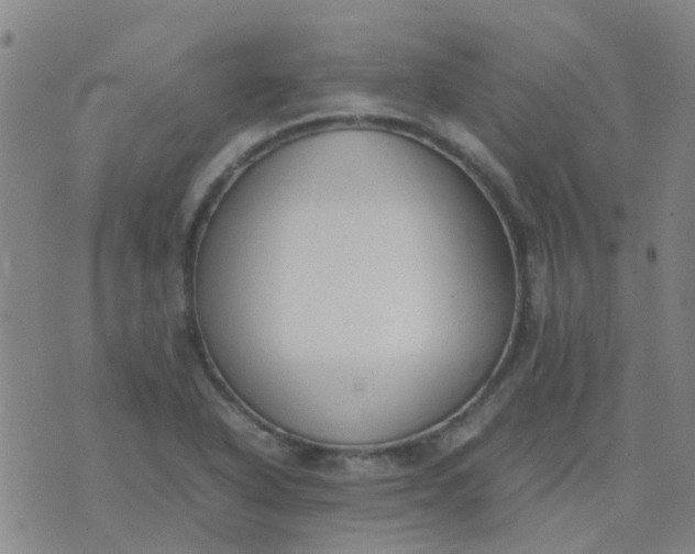 X0000074331318200609082022