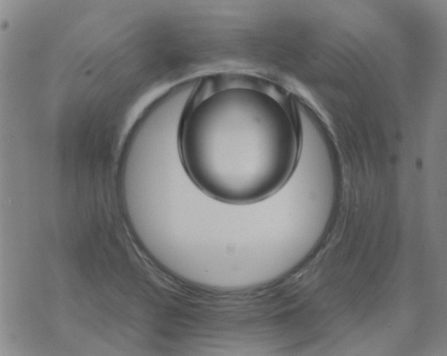 X0000074331320200609082022