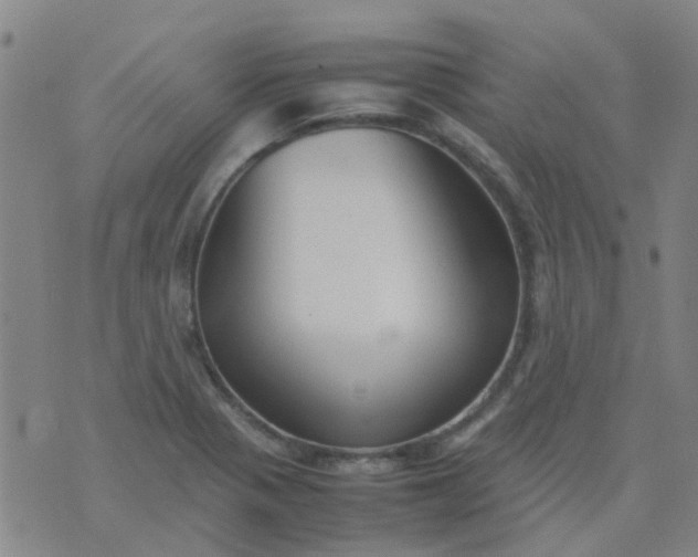 X0000074331321200609082022