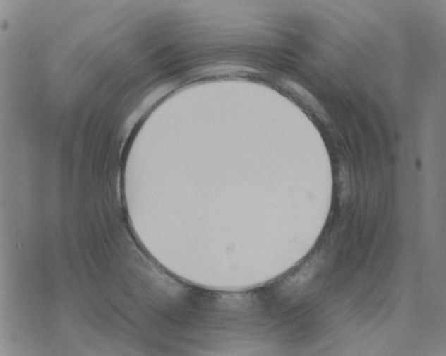 X0000074331322200609082022