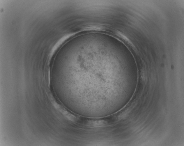 X0000074331323200609082022