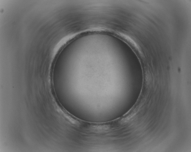 X0000074331327200609082022