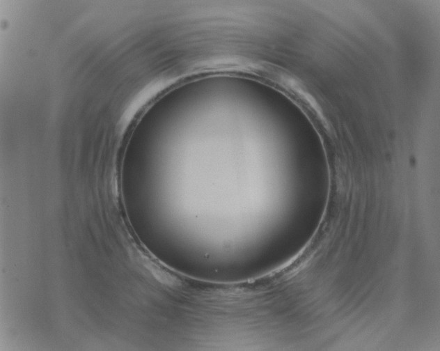 X0000074331328200609082022