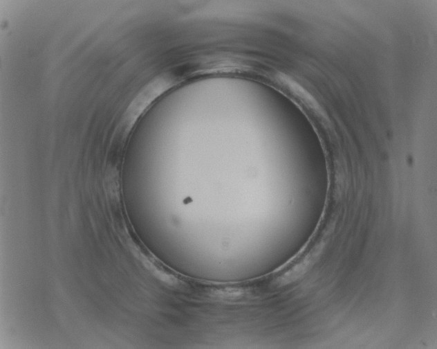 X0000074331329200609082022