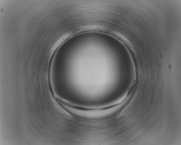 X0000074331330200609082022