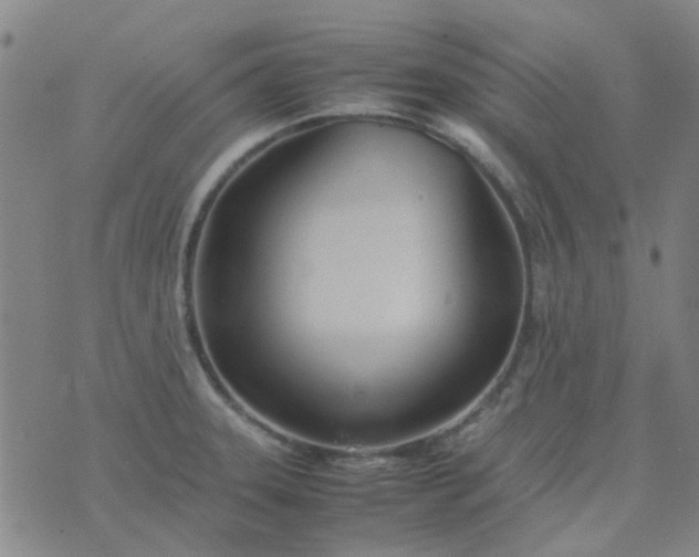 X0000074331331200609082022