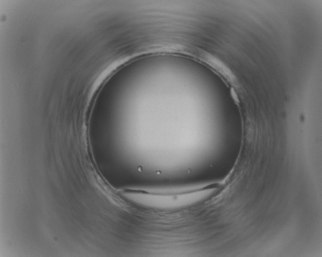 X0000074331332200609082022