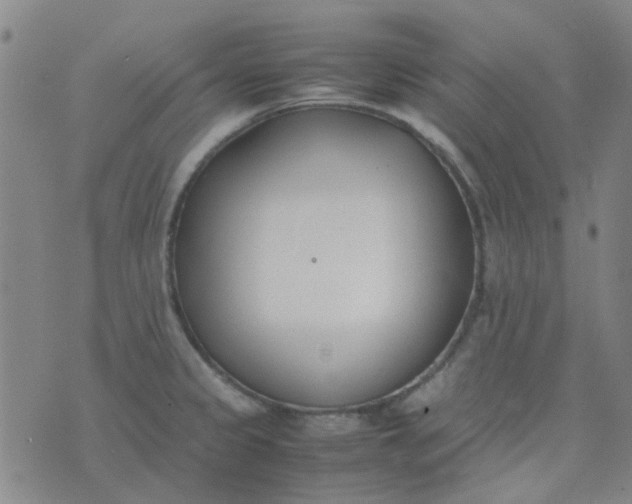 X0000074331333200609082022