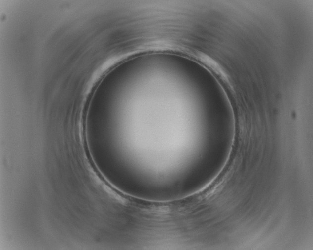 X0000074331334200609082022