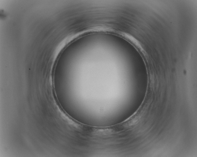 X0000074331335200609082022