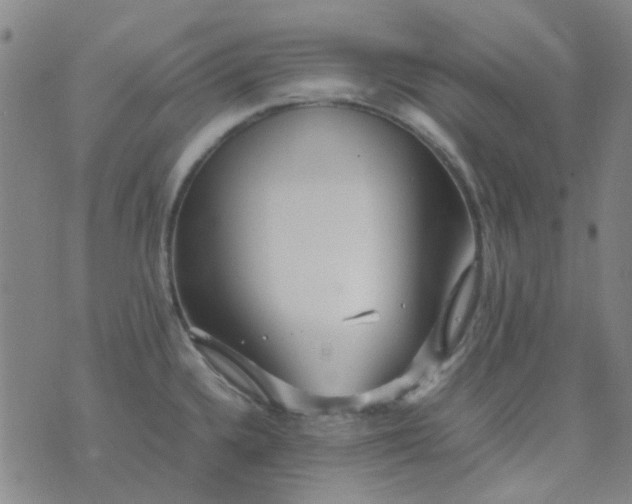 X0000074331336200609082022