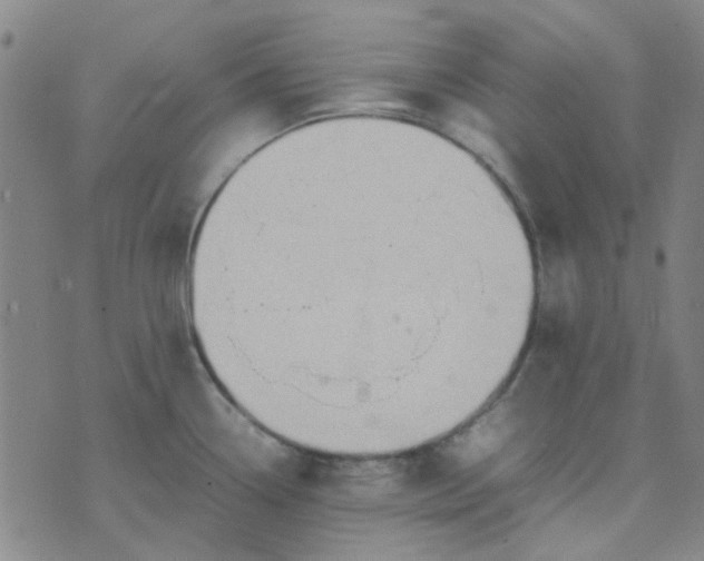 X0000074331338200609082022