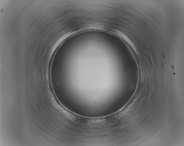 X0000074331339200609082022