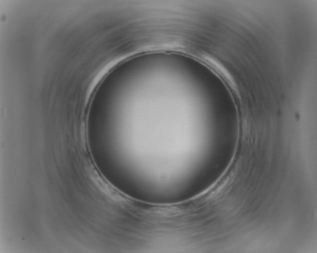 X0000074331340200609082023