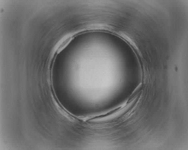 X0000074331342200609082023