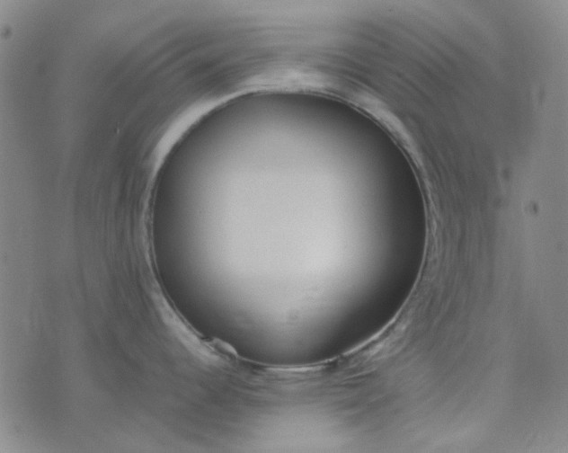 X0000074331344200609082023