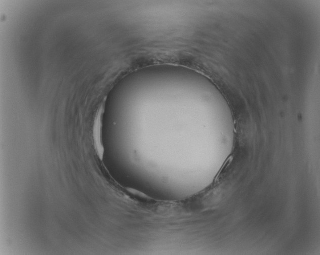 X0000074331345200609082022