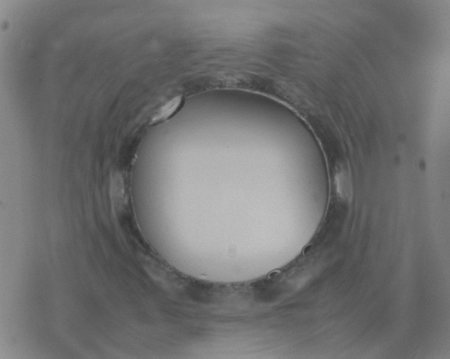 X0000074331347200609082022