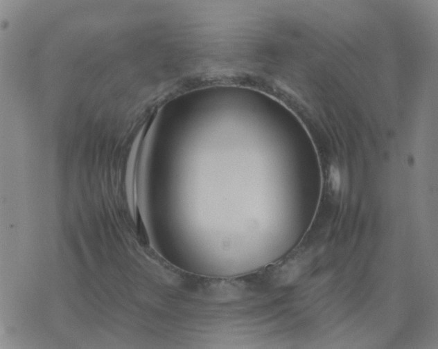 X0000074331348200609082022