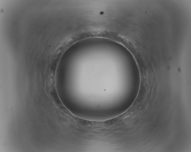 X0000074331349200609082022