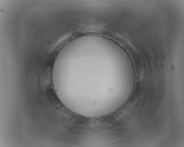 X0000074331350200609082022