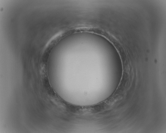 X0000074331351200609082022