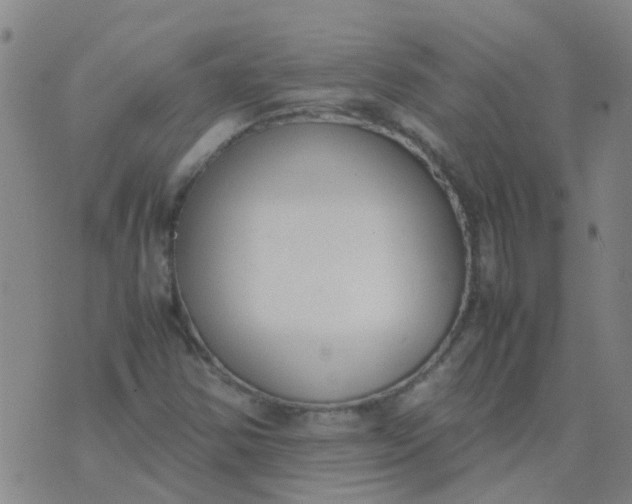 X0000074331354200609082022