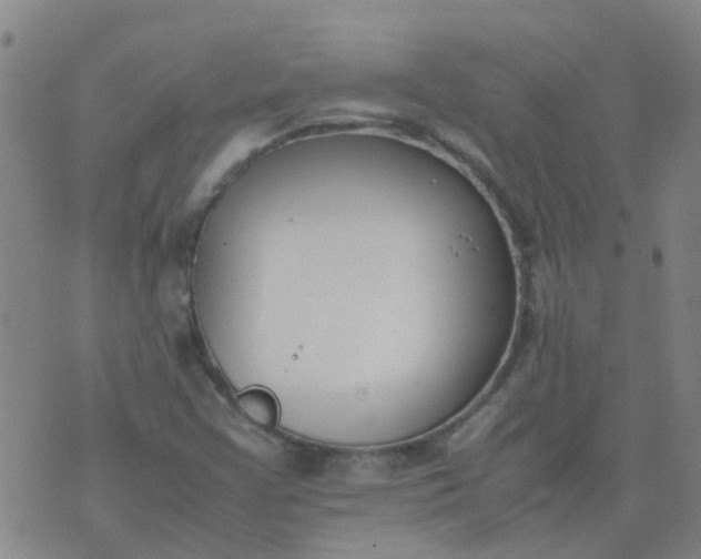 X0000074331355200609082022