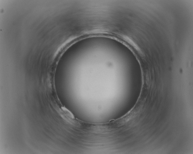 X0000074331356200609082022