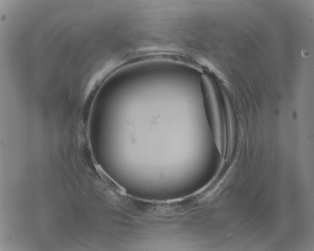 X0000074331357200609082022