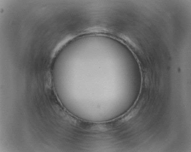 X0000074331358200609082022