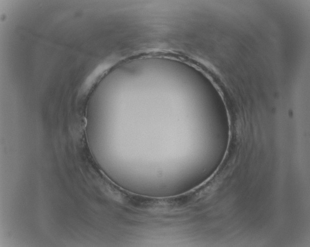 X0000074331359200609082022